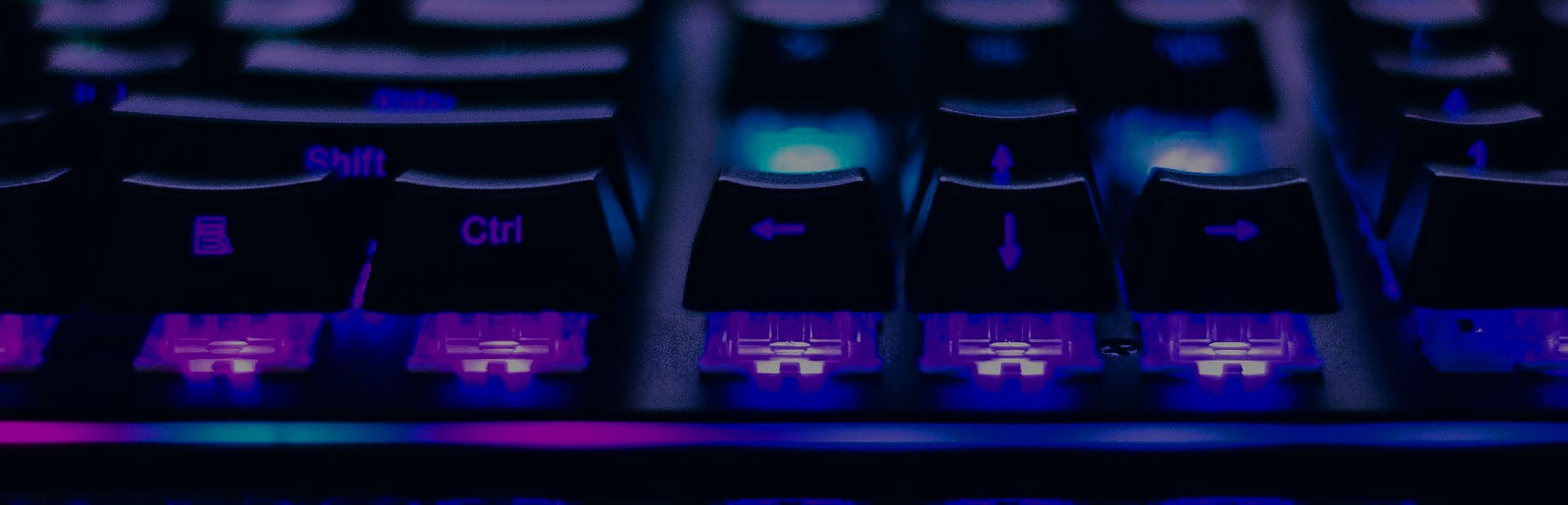 Content Writing